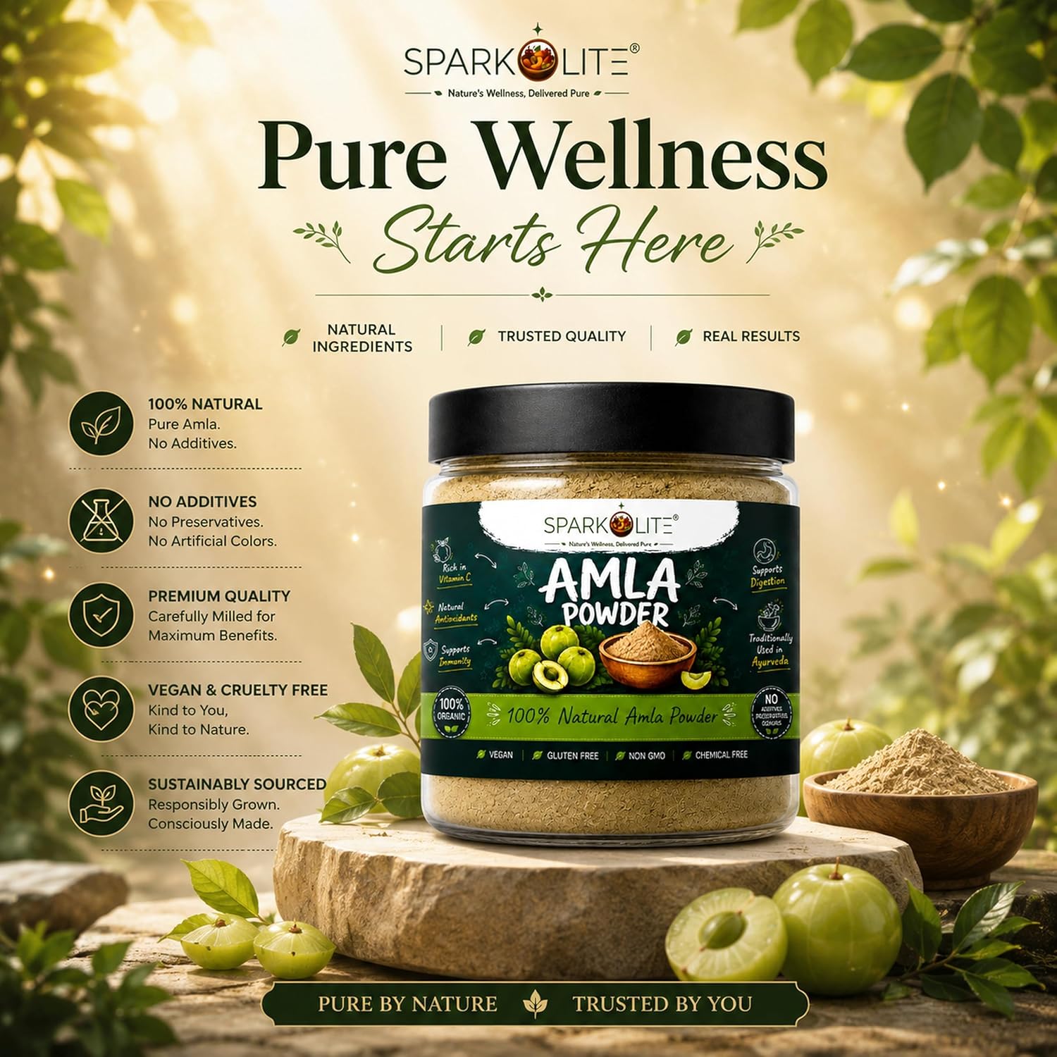 SPARKOLITE® Amla Powder 1kg (Pack of 2 x 500g) | Pure & Natural Amla Fruit Powder | Rich in Vitamin C | Supports Immunity, Hair & Skin Health | No Added Sugar or Preservatives