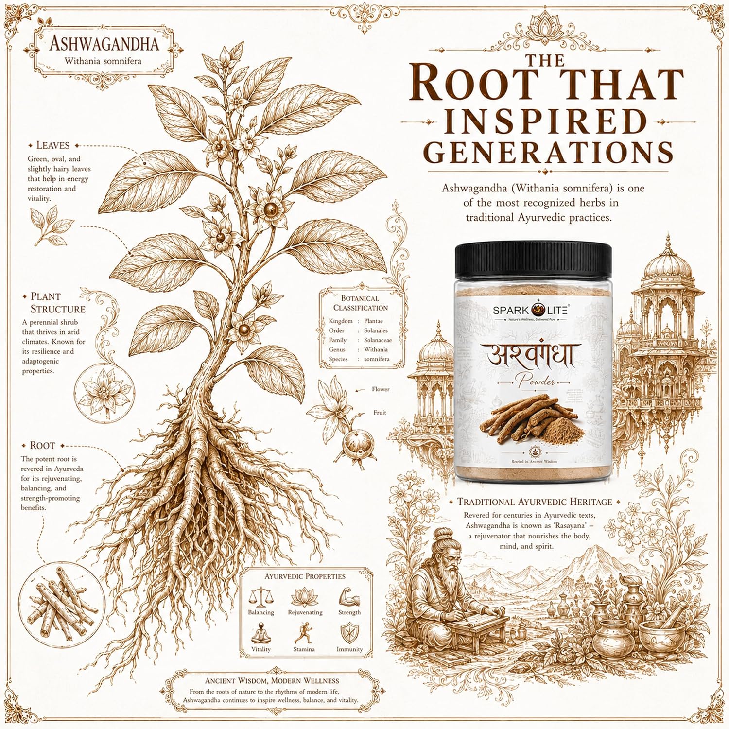 Organic Ashwagandha Powder | Premium Ashwagandha Root Powder | Traditionally Used Ayurvedic Herb | Finely Ground Natural Root Powder | No Added Preservatives | Vegan & Vegetarian| 1Kg(Pack of 2 x 500 Gms)