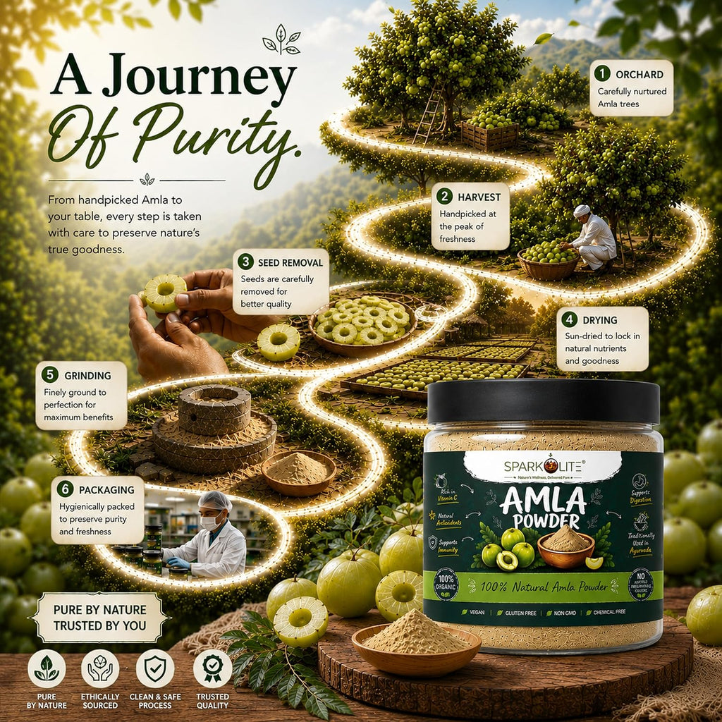 SPARKOLITE® Amla Powder 1kg (Pack of 2 x 500g) | Pure & Natural Amla Fruit Powder | Rich in Vitamin C | Supports Immunity, Hair & Skin Health | No Added Sugar or Preservatives