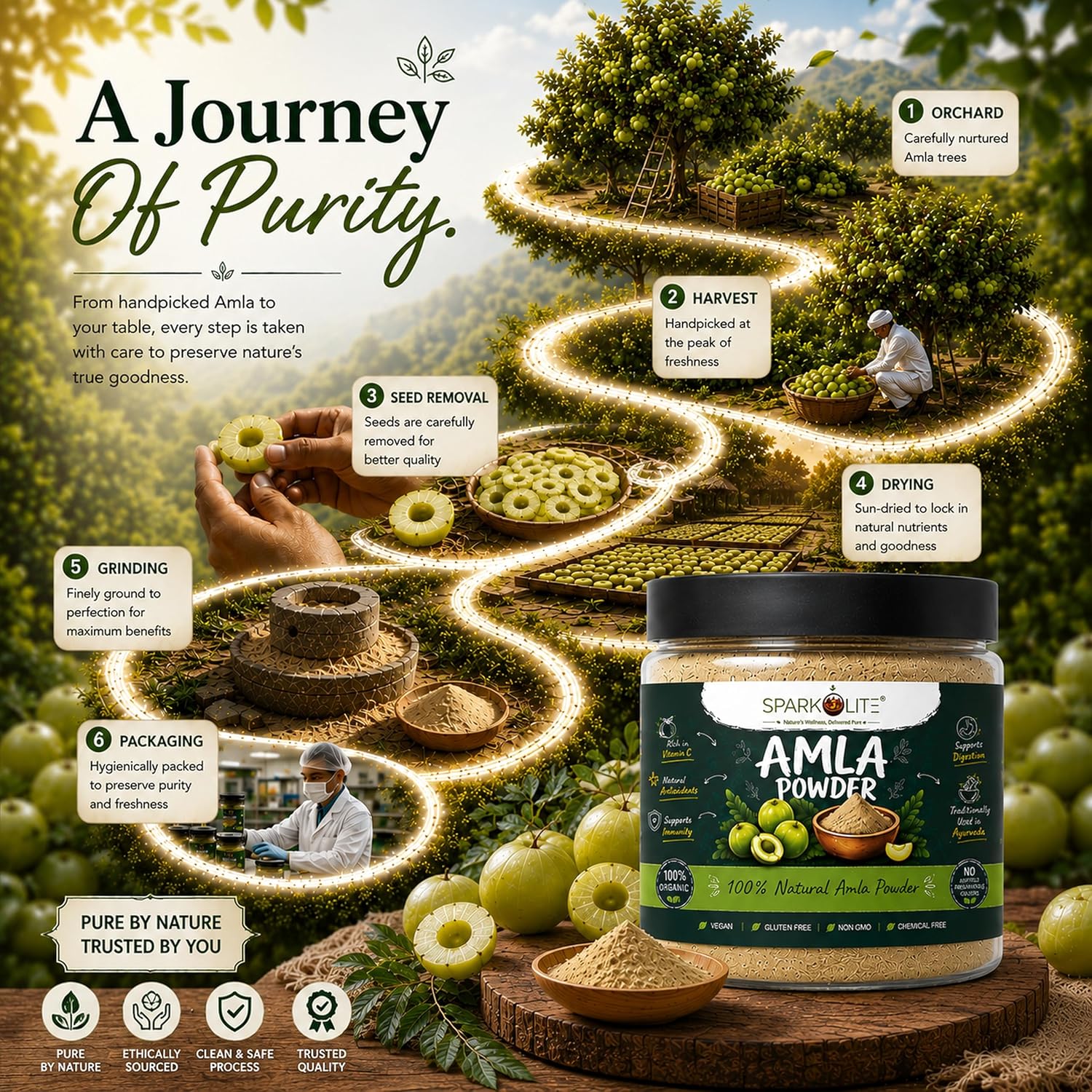 SPARKOLITE® Amla Powder 1kg (Pack of 2 x 500g) | Pure & Natural Amla Fruit Powder | Rich in Vitamin C | Supports Immunity, Hair & Skin Health | No Added Sugar or Preservatives