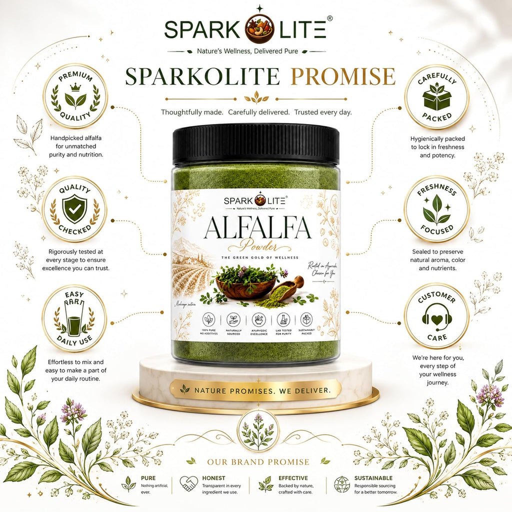 Organic Alfalfa Powder 150 gram | Premium Alfalfa Leaf Powder | Rich in Naturally Occurring Vitamins, Minerals & Chlorophyll | Green Superfood for Smoothies, Juices & Daily Wellness | 100% Pure | No Added Sugar | Vegan