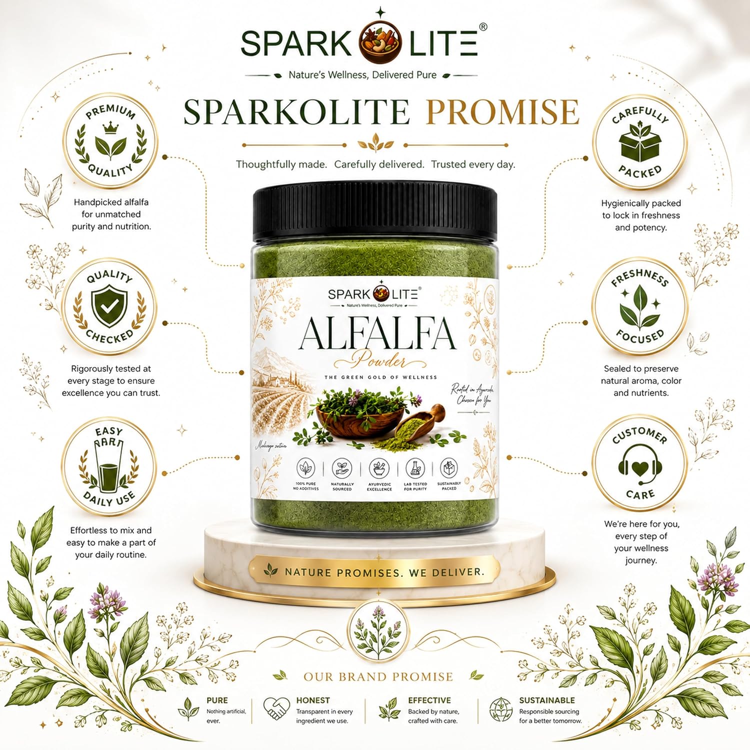 Organic Alfalfa Powder 150 gram | Premium Alfalfa Leaf Powder | Rich in Naturally Occurring Vitamins, Minerals & Chlorophyll | Green Superfood for Smoothies, Juices & Daily Wellness | 100% Pure | No Added Sugar | Vegan