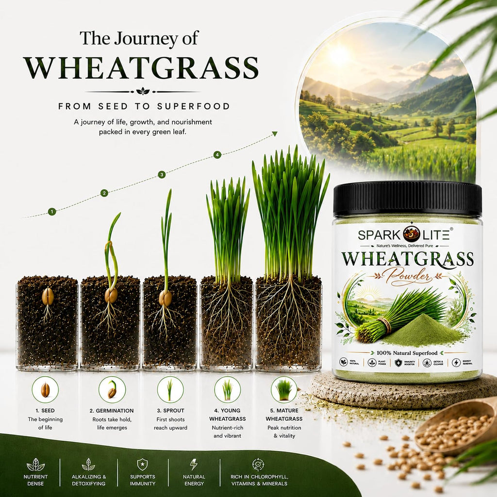 Organic Wheatgrass Powder | Pure Natural Superfood | Rich in Chlorophyll, Antioxidants & Plant Nutrients | Supports Detox, Energy & Daily Wellness | No Added Sugar, Preservatives or Artificial Ingredients | Vegan (1 kg (pack of 2x500 Gms ))